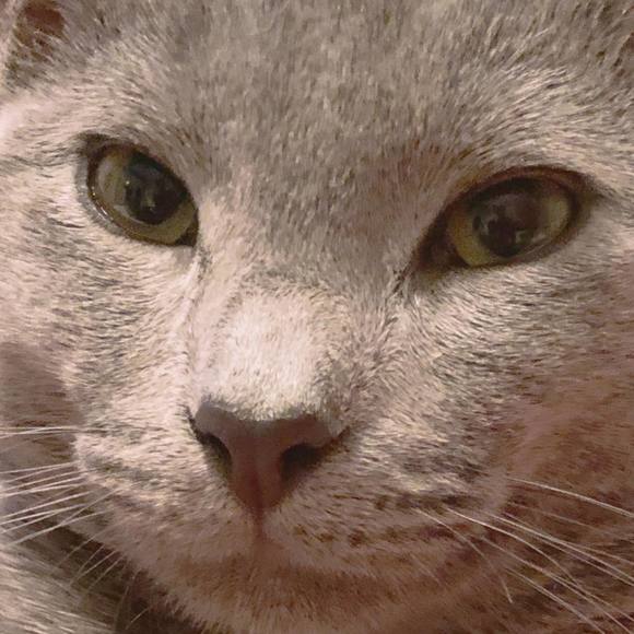 Meet your Posher, Jennifer - Picture 1 of 1